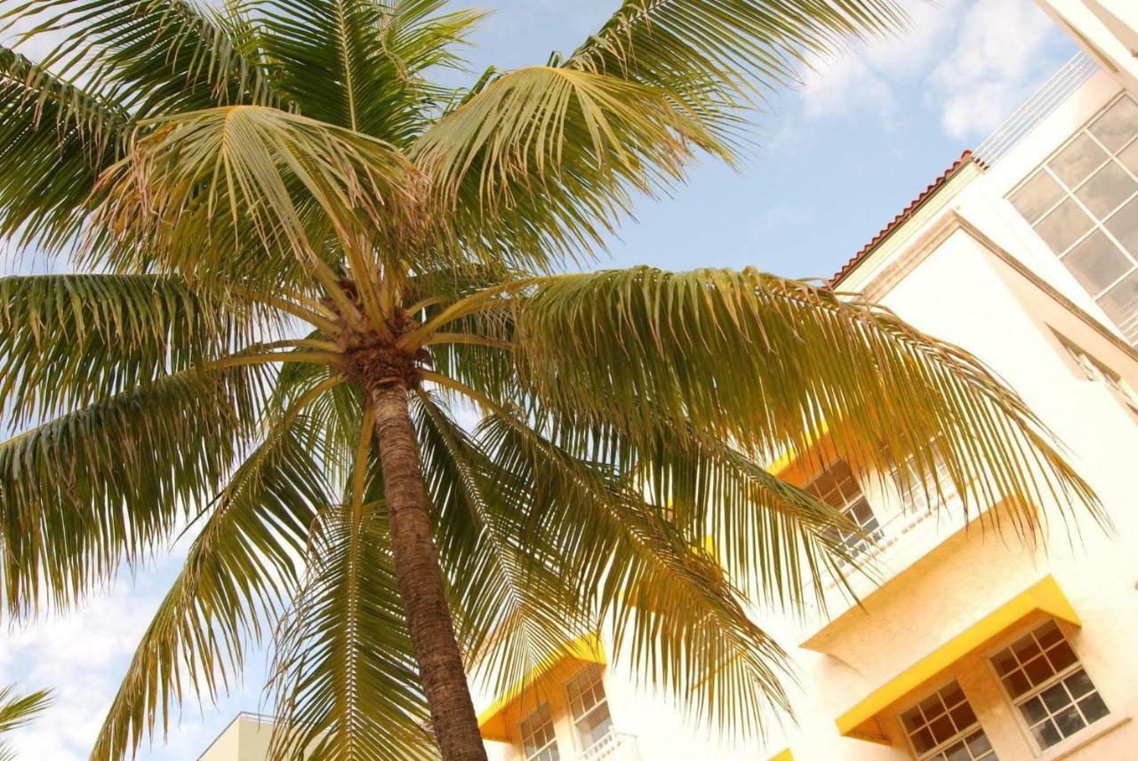2 Bedroom Ocean Drive Newly Renovated Miami Beach Eksteriør bilde